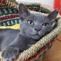 【大阪市北区】イケメン女子な子猫ちゃん！