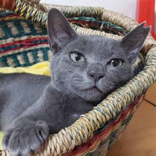 【大阪市北区】イケメン女子な子猫ちゃん！