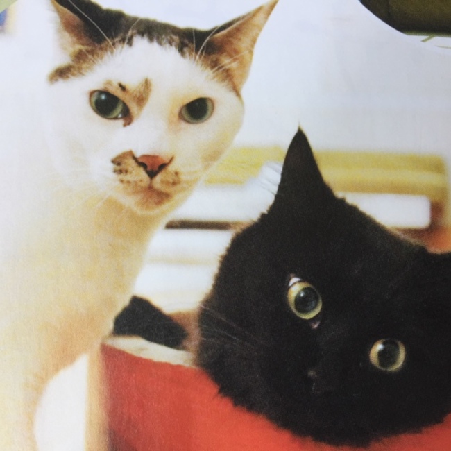 nao-tanのカバー写真
