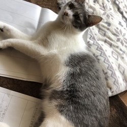 色々忙しい（笑）