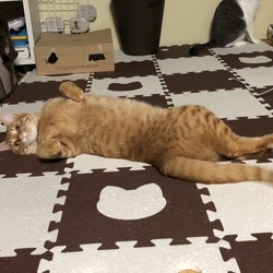 「色々忙しい（笑）」サムネイル2