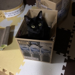 「色々忙しい（笑）」サムネイル3