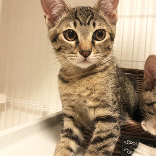 少し怖がりだけど食いしん坊な二太郎くん♪