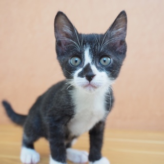 7月初め頃生まれの女の子