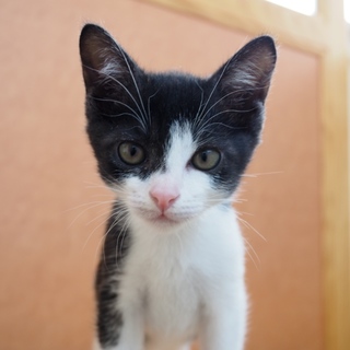 7月初め頃生まれの女の子