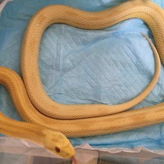 ●たくさんのご応募ありがとうございました●