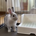 家族になって名前をつけてください！