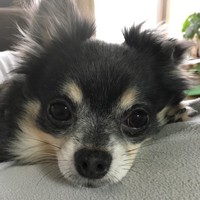 ラスティ
