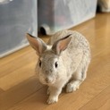 家族になって、名前をつけてください！