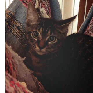 イケメン　銀河くん