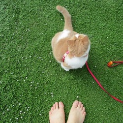 「里親になって4年になりました」サムネイル2