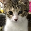 幸せ探し…
