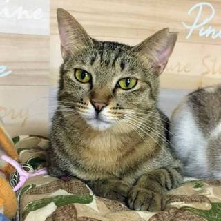 【あいや】募集を終了しました