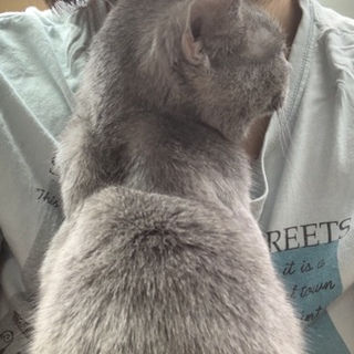 太郎いやし さんお迎え