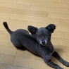 怪獣ママん
