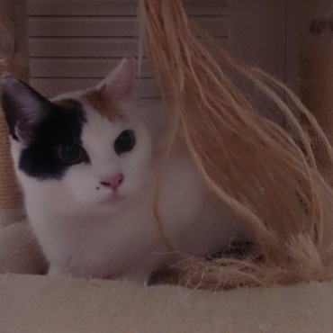 色白 ワンレン セクシーぼくろ