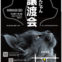 アニマー湯犬猫譲渡会