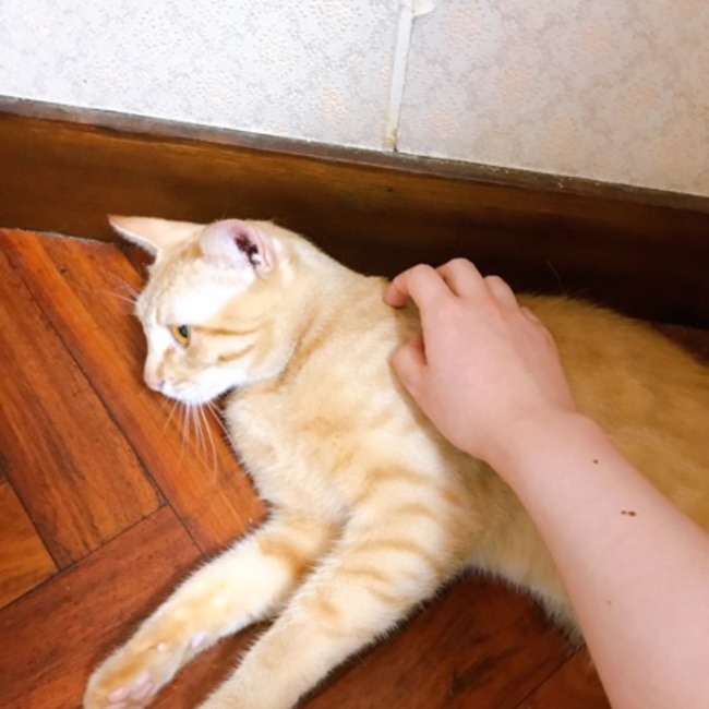 クルミるくのカバー写真