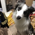 元気な男の子ボーダー！
