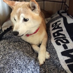 いつも　ありがとε-(´∀｀*)