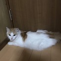 募集休止中