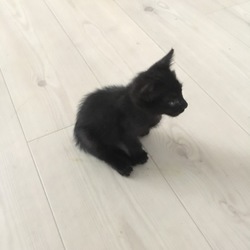 「てっちゃん、ＤＡＹ１０」サムネイル3