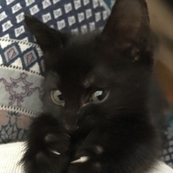 「てっちゃん、ＤＡＹ１０」サムネイル2