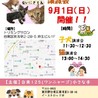 9月1日譲渡会★保健所からレスキューの犬た サムネイル2