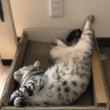 の写真