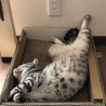 の写真
