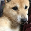 幸せ探し…
