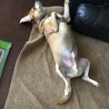 の写真