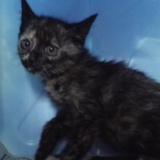 団体様が引き出してくださいました。