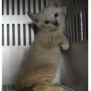 団体様が引き出してくださいました。