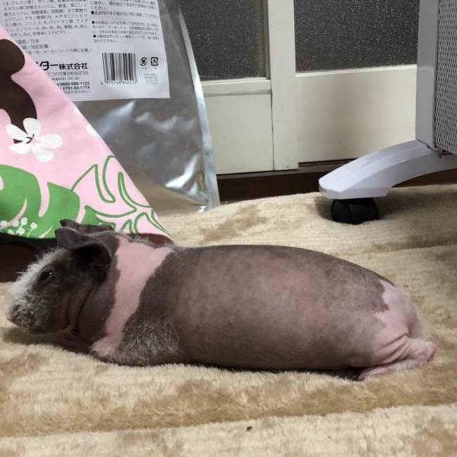 てぃむなんのカバー写真