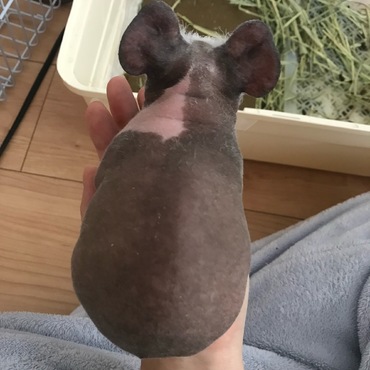 の写真