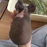 の写真