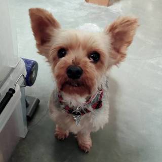 チャップ 幸せになります