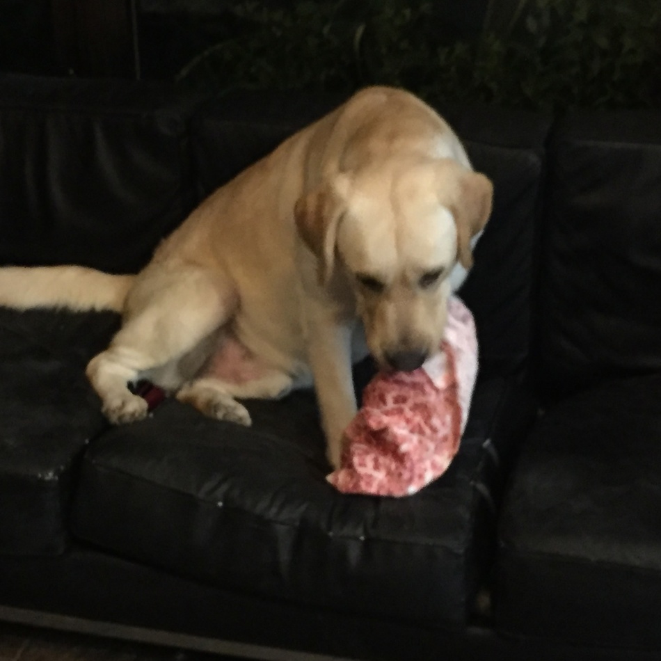 ペッピーノのカバー写真