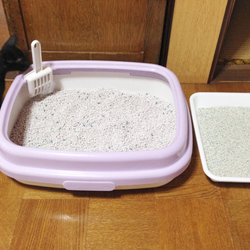 トイレの砂にこだわる