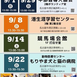 ▼猫の譲渡会▼名古屋市港区 サムネイル3