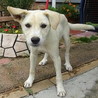 家族ができました！！ サムネイル2