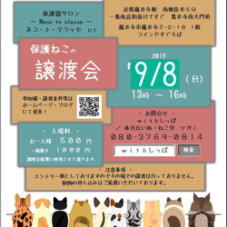 藤井寺市保護猫譲渡会