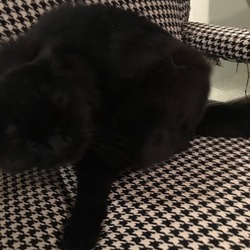 今日のポーさん