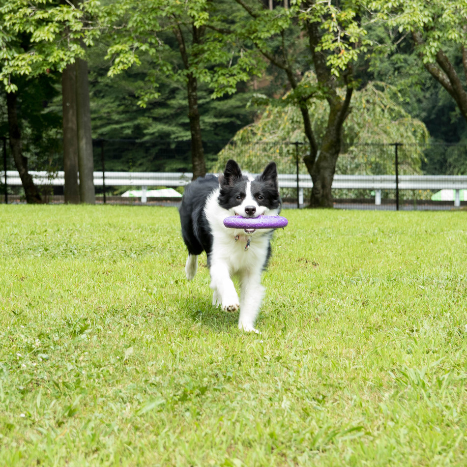むぎのカバー写真