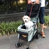 初めてのカート。