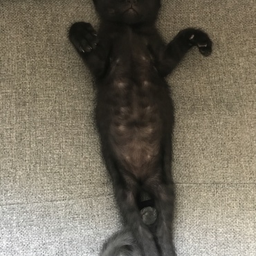 お昼寝中、、