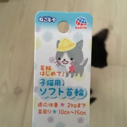 「てっちゃん、古典的ＧＰＳ付けたった」サムネイル2