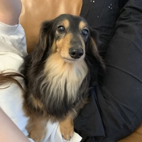 ナッツ