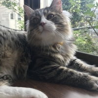 ベル